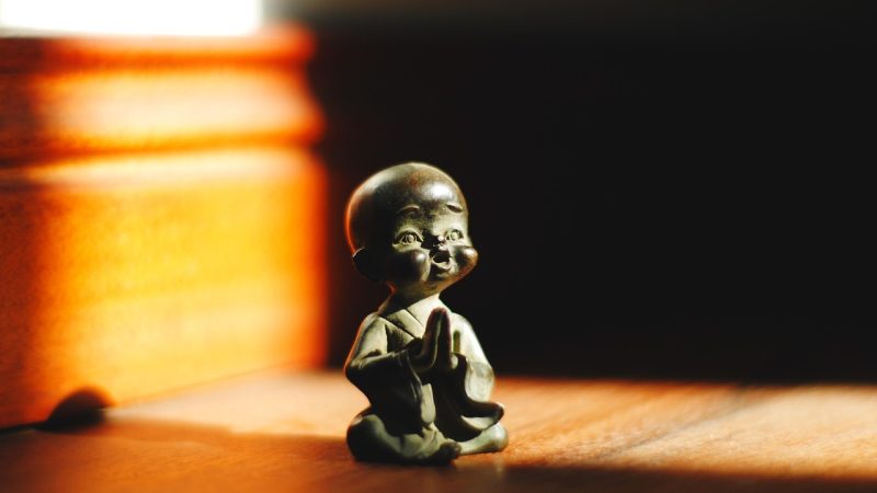 www.51cg.com 新手使用全流程指南(8 配图